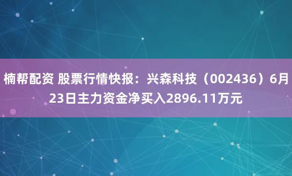 楠帮配资 股票行情快报：兴森科技（002436）6月23日主力资金净买入2896.11万元