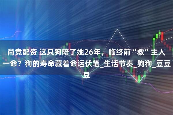 尚竞配资 这只狗陪了她26年，临终前“救”主人一命？狗的寿命藏着命运伏笔_生活节奏_狗狗_豆豆