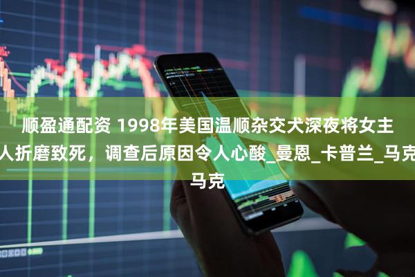 顺盈通配资 1998年美国温顺杂交犬深夜将女主人折磨致死，调查后原因令人心酸_曼恩_卡普兰_马克
