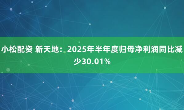 小松配资 新天地：2025年半年度归母净利润同比减少30.01%