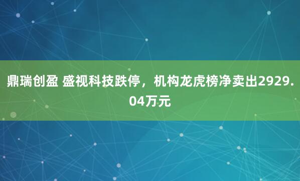 鼎瑞创盈 盛视科技跌停，机构龙虎榜净卖出2929.04万元
